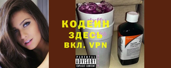 крисы Киренск