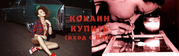 крисы Киренск