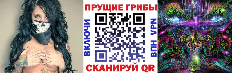 Купить  Усолье  Псилоцибиновые грибы Psilocybine cubensis 